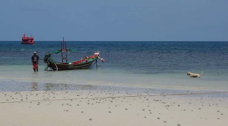 Koh Tao Island