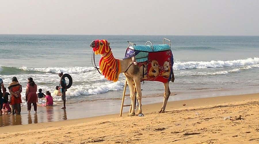 Puri Beach, Orissa