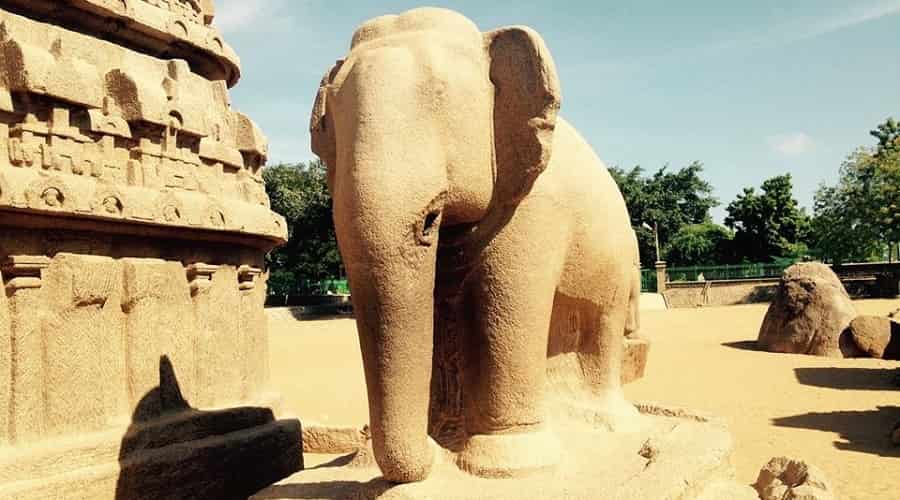 The Elephant Mahabalipuram