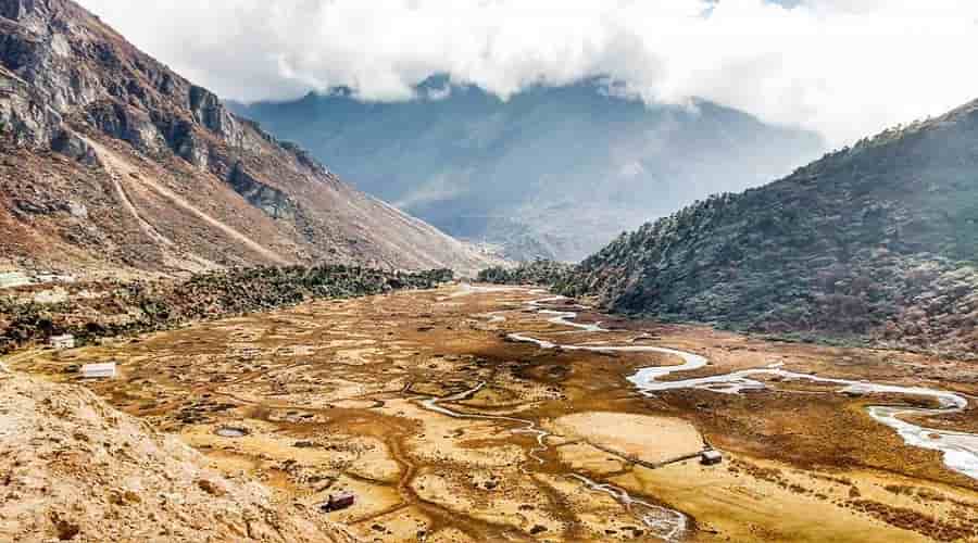 Chopta valley, sikkim