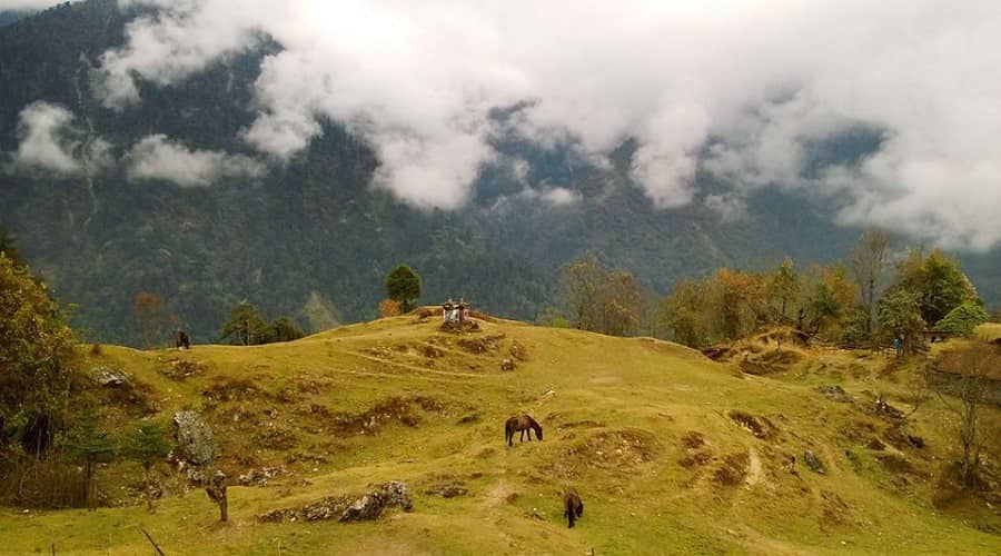 Kanchenjunga national park west sikkim