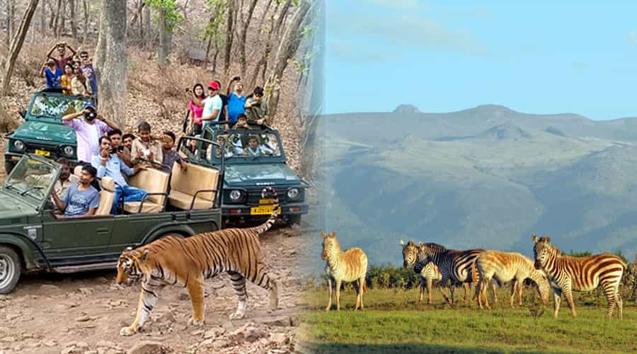 Kenya Wildlife Reserve and Ranthambore National Park