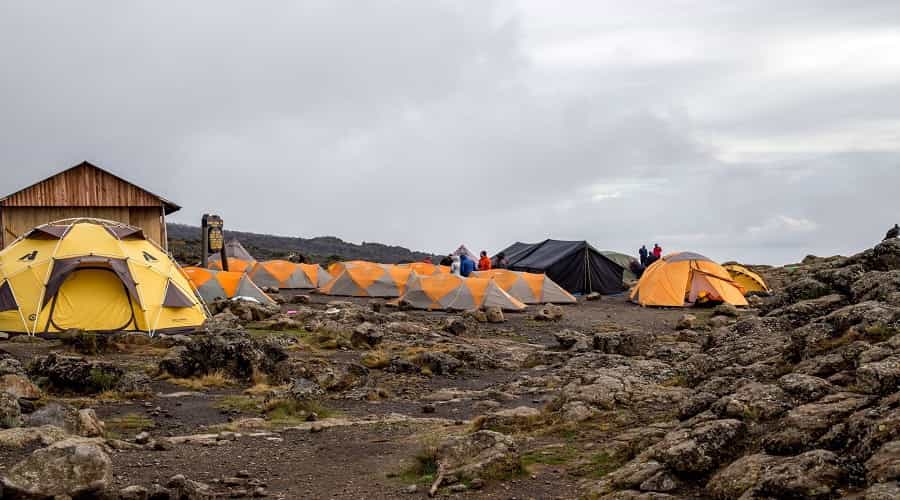 Kilimanjaro