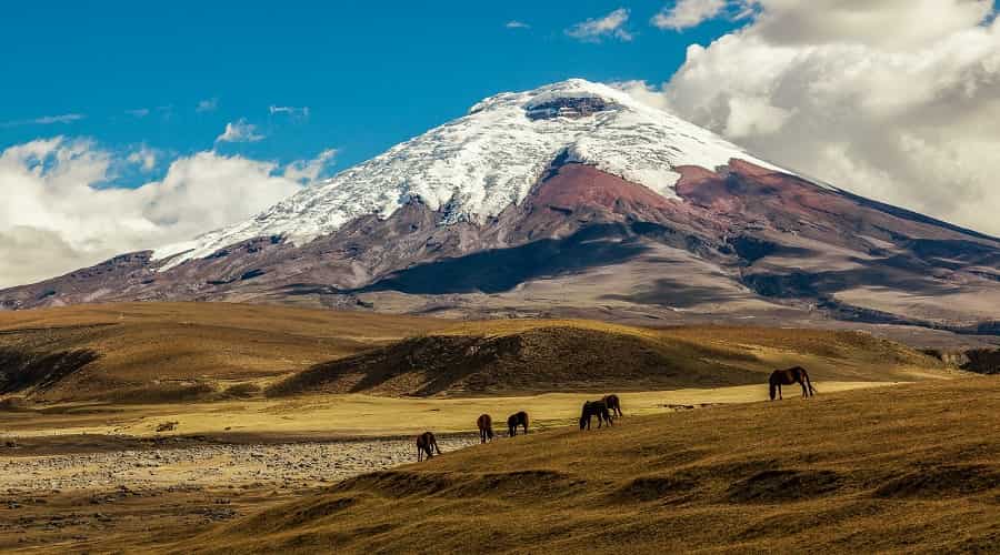 Cotopaxi