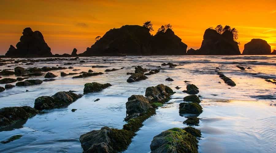 Hiking in Olympic National Park