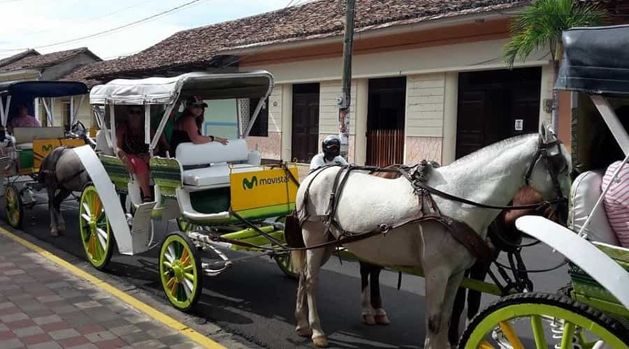 horse and carriage ride around Granada