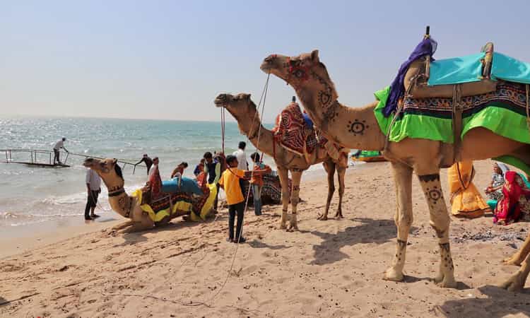 Ahmedpur-Mandvi Beach