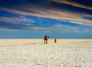 Rann of Kutch Holiday