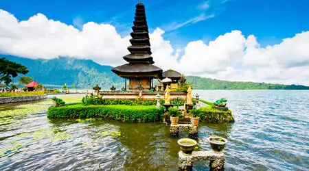 Best of Bali Tour