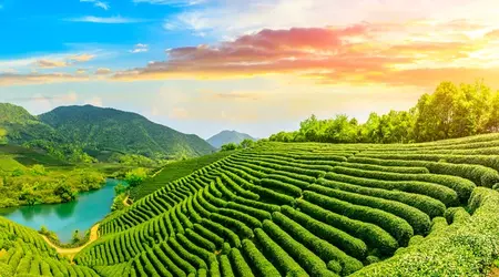 Ooty with Coonoor Tour