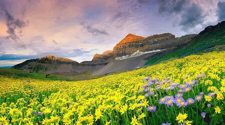 Uttarakhand Tour Packages