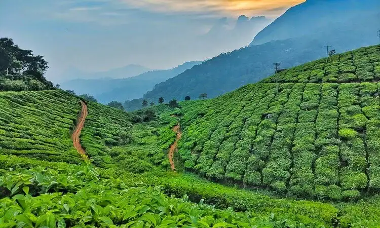 Coonoor with Ooty Tour Package