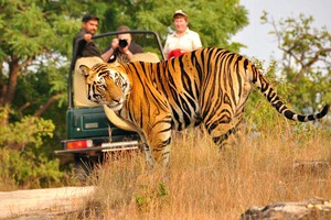 North India Wildlife Tour