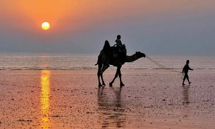 Gujarat Desert Beach Tour Package