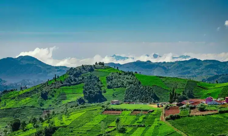 South India Hill Stations Tour Package