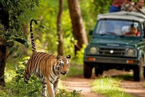 Weekend Getaway to Corbett