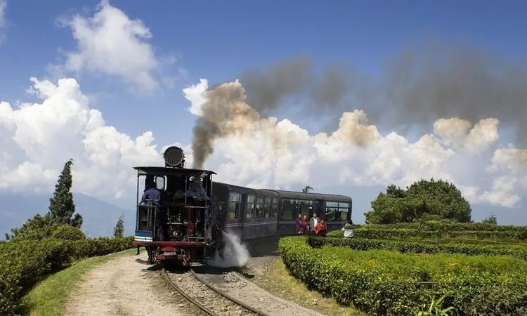 Darjeeling Hill Station Tour Package