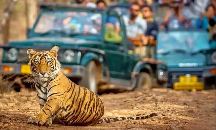 Golden Triangle Tour with Ranthambore Safari