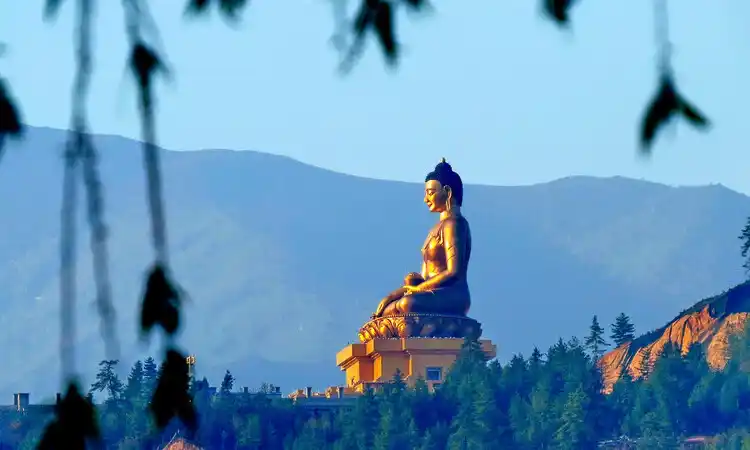 Journey to The Land of Peaceful Dragon Dragon Tour Package
