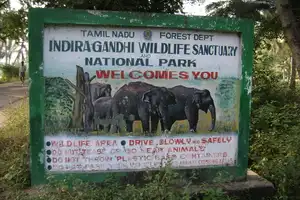 Top 10 National Parks In Tamilnadu - Wildlife Sanctuaries of Tamil Nadu