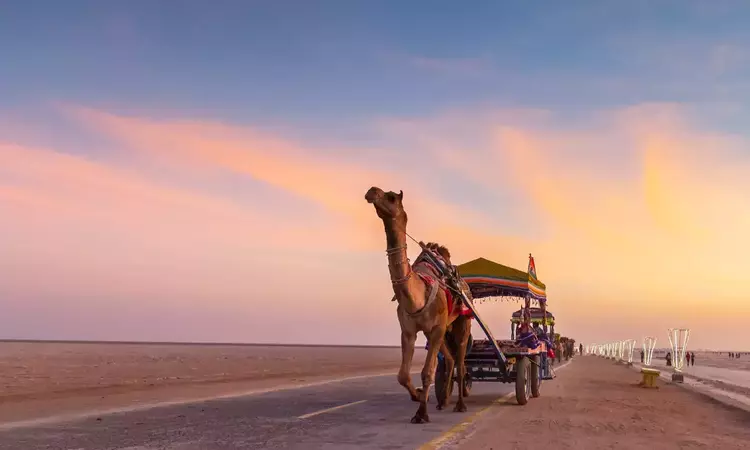 Rann Utsav Package from Ahmedabad