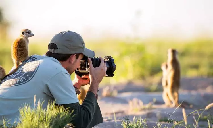 India Wildlife Photography Tour