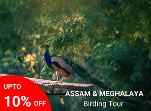 Assam with Meghalaya Tour