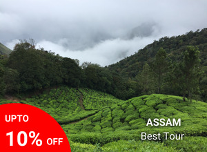 Best of Assam Tour