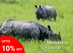 Kaziranga with Meghalaya Tour