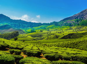 Kerala Hill Station Tour Packages
