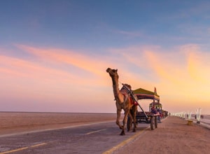 Gujarat Desert Beach Tour