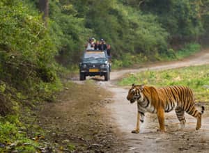 Jim Corbett with Nainital Tour