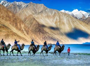 Thrilling Ladakh Tour