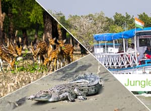 Mysterious Sundarban Tour