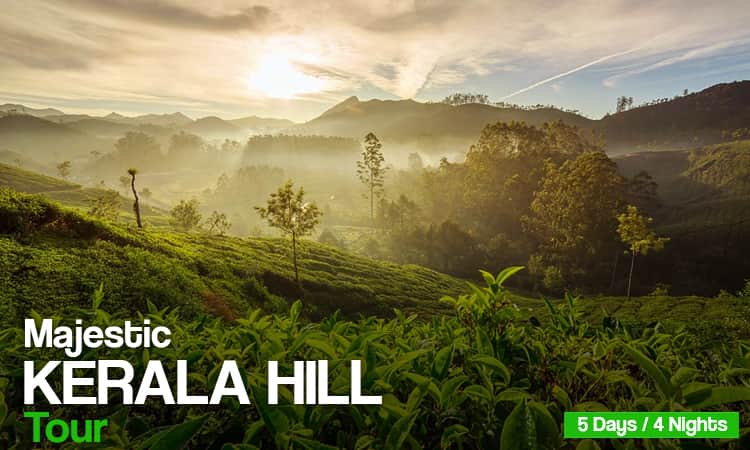 Majestic Kerala Hill Tour