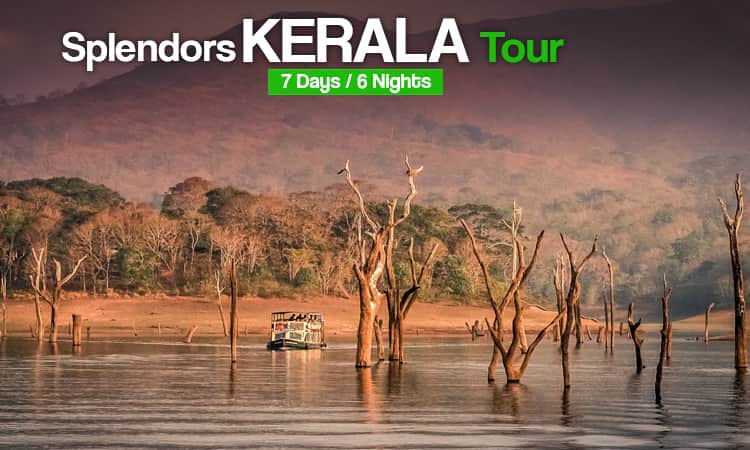 Splendors of Kerala Tour
