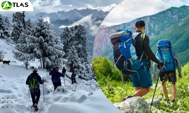 Beautiful Laya Gasa Trek Holidays Package