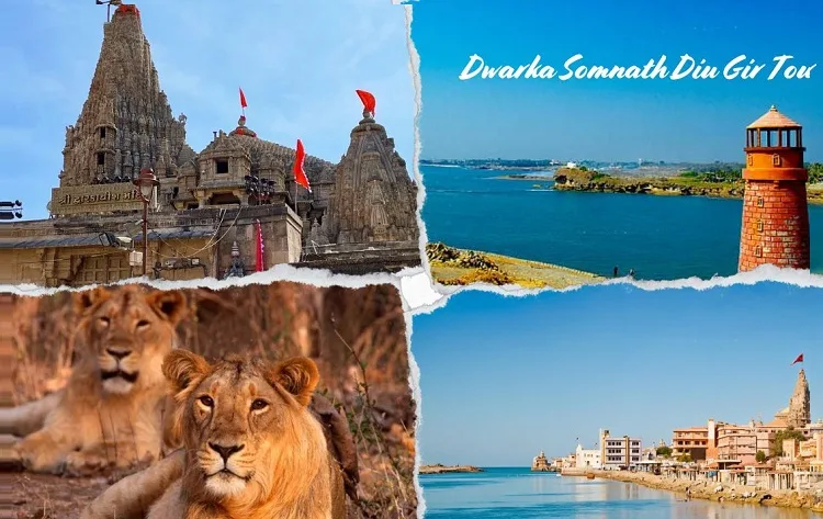 Dwarka Somnath Diu Gir Holiday Package