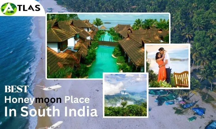 South India Honeymoon Tour Package South India Honeymoon Tour Package