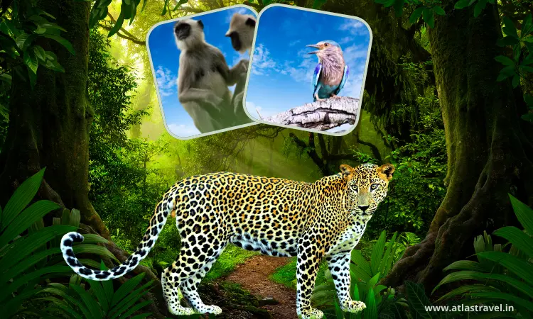Sri Lankan Nature and Wildlife Tour Package Sri Lankan Nature and Wildlife Tour Package