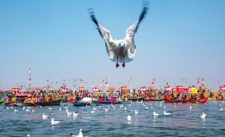 Triveni Sangam